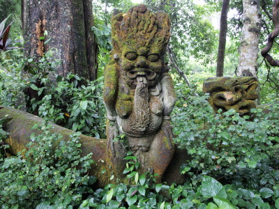 モンキー・フォレスト　Monkey Forest