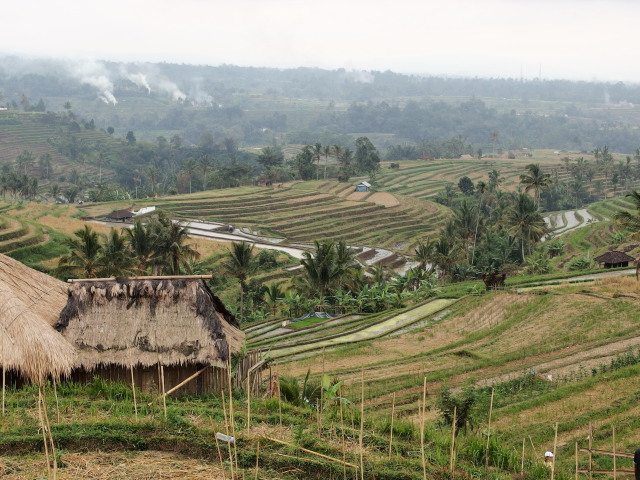ジャティルウィ棚田 | Jatiluwih Rice Terraces