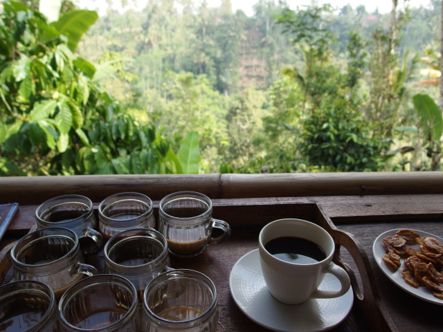 デウィ・コーヒー園 | Dewi Coffee Farm