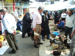 The market day at Ramsar