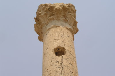 The column: Bishapur