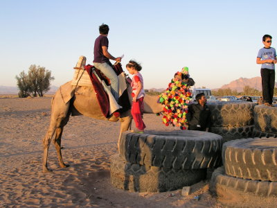 ヤズド郊外の砂漠：ラクダ乗り場