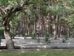 ラーレ公園（テヘラン）