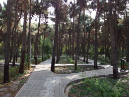 ラーレ公園（テヘラン）