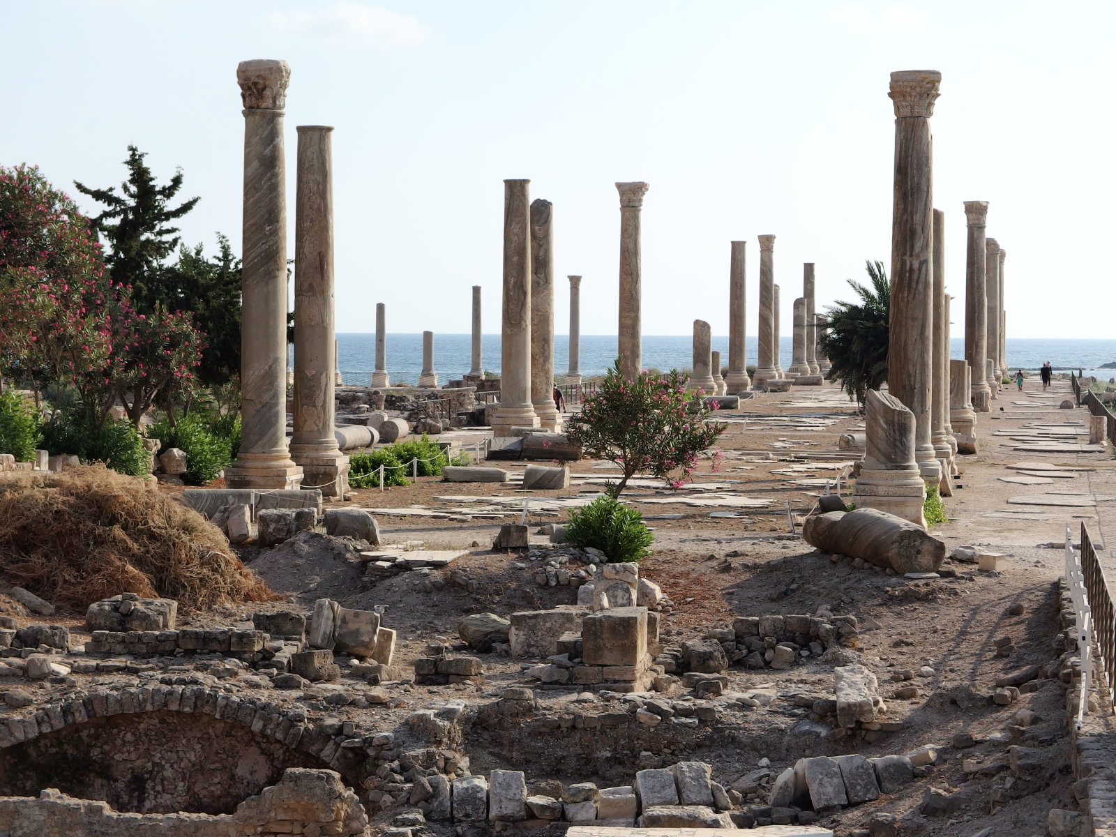 モザイク通り・ティール（スール）｜The Gland Allee or The Mosaic Road, Tyre(Sur)