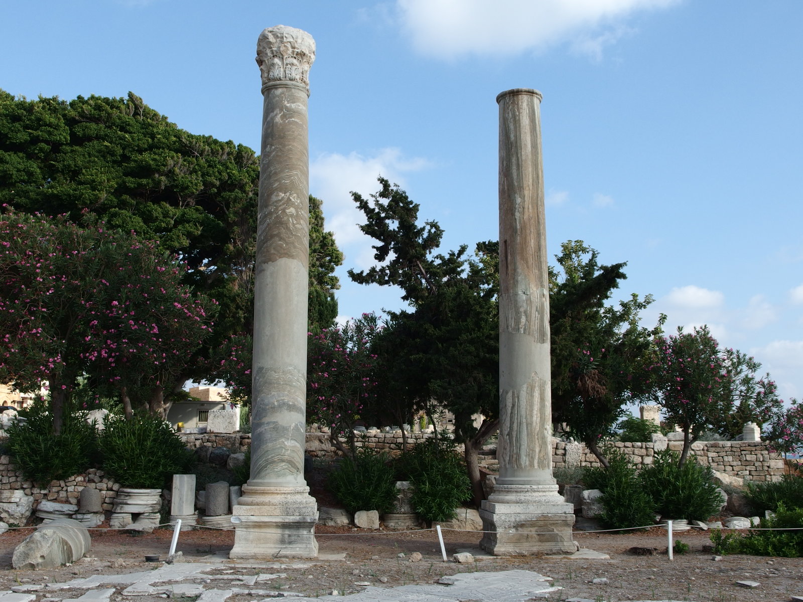 緑色大理石（チポリーノ）の柱・ティール（スール）｜The Green Marble columns called Cipolino, Tyre(Sur)