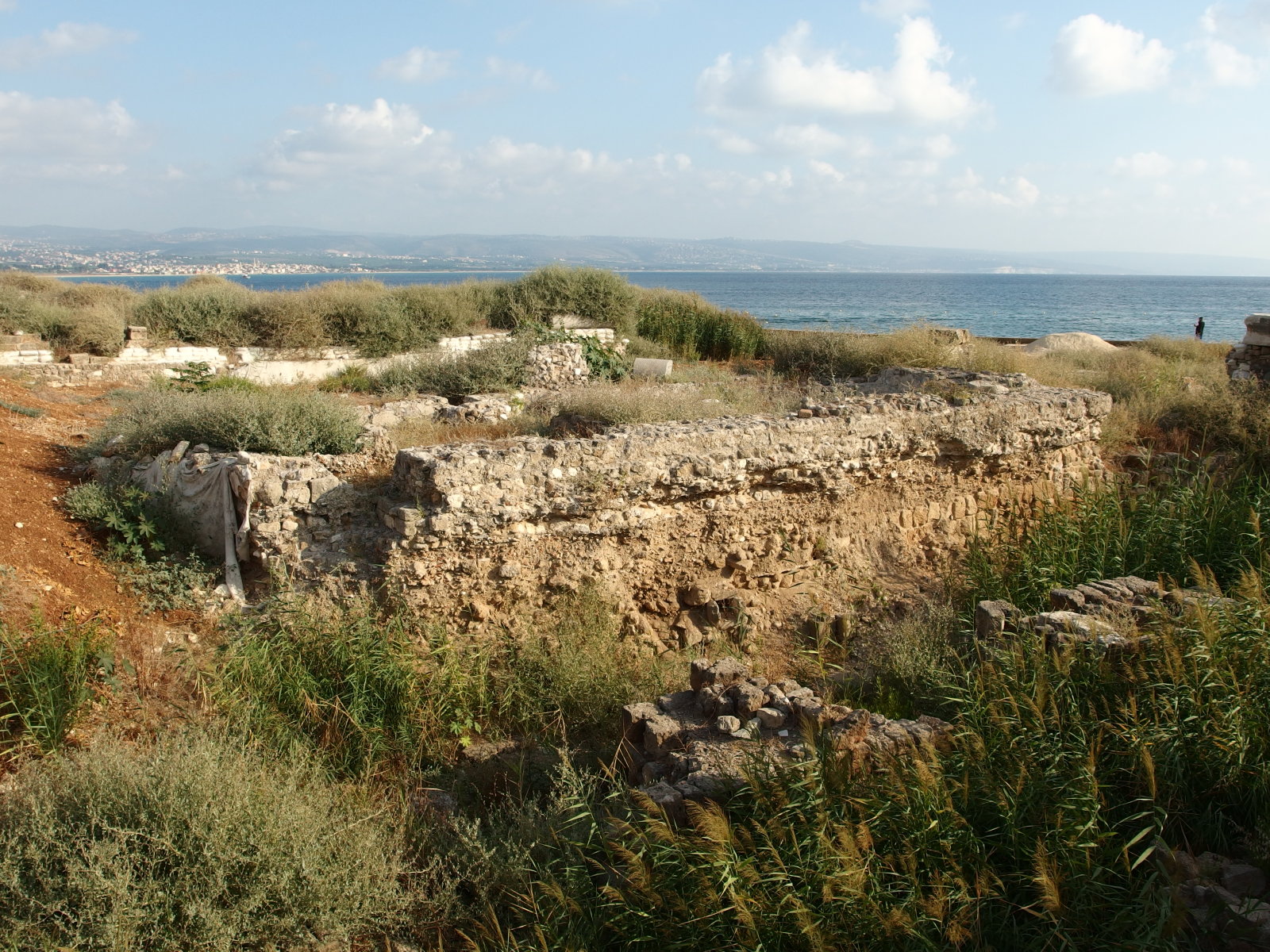 ティール（スール）の石積遺構｜The stone wall remains in Tyre(Sur)